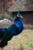 Tierpark Berlin 