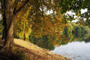 Volkspark Jungfernheide