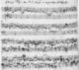 Berliner Lindenlied